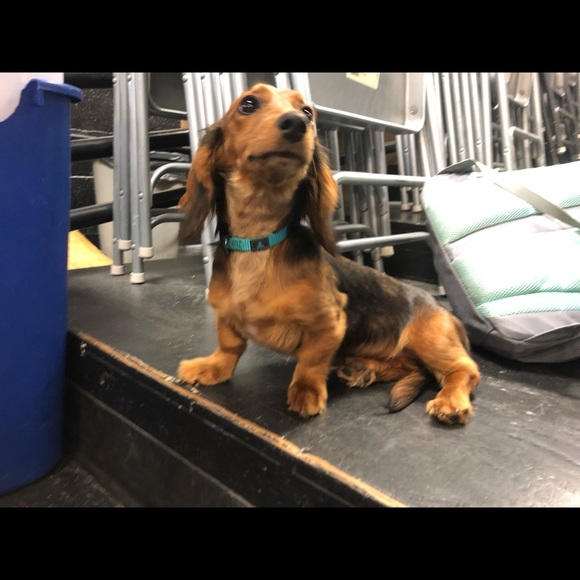 Meet your Posher, Kat - Picture 1 of 1